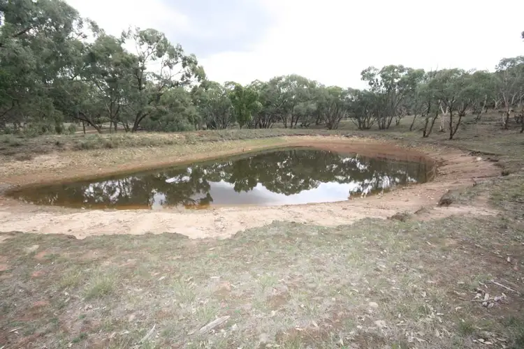 Sixth view of Homely rural property listing, 4725 Obley Road, Dubbo NSW 2830
