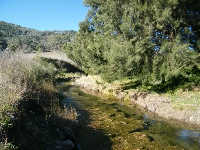 Fifth view of Homely rural property listing, 494 Hamiltons Road, Quirindi NSW 2343