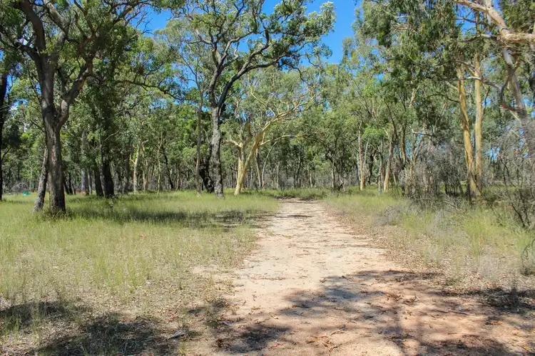 Second view of Homely rural property listing, 127 Springwood Park Road, Mudgee NSW 2850