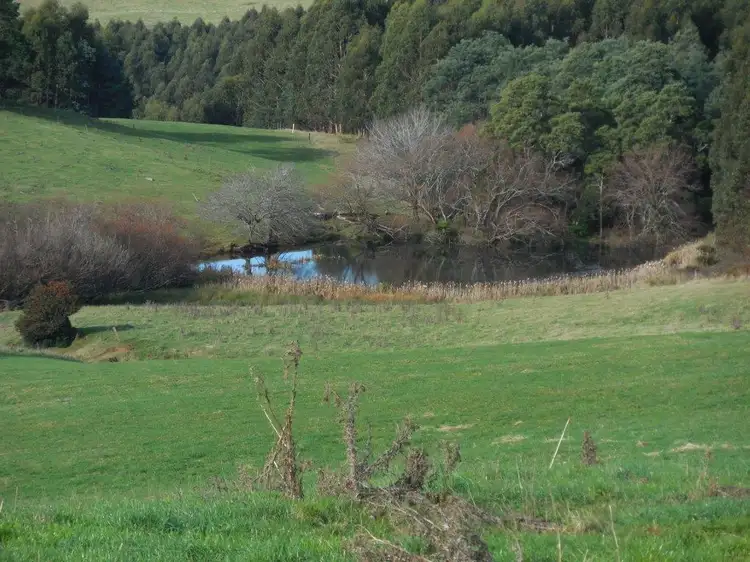 Third view of Homely rural property listing, 31315 TASMAN HIGHWAY, Winnaleah TAS 7265