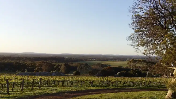 Fifth view of Homely rural property listing, 464 Woodlands Road, Porongurup WA 6324