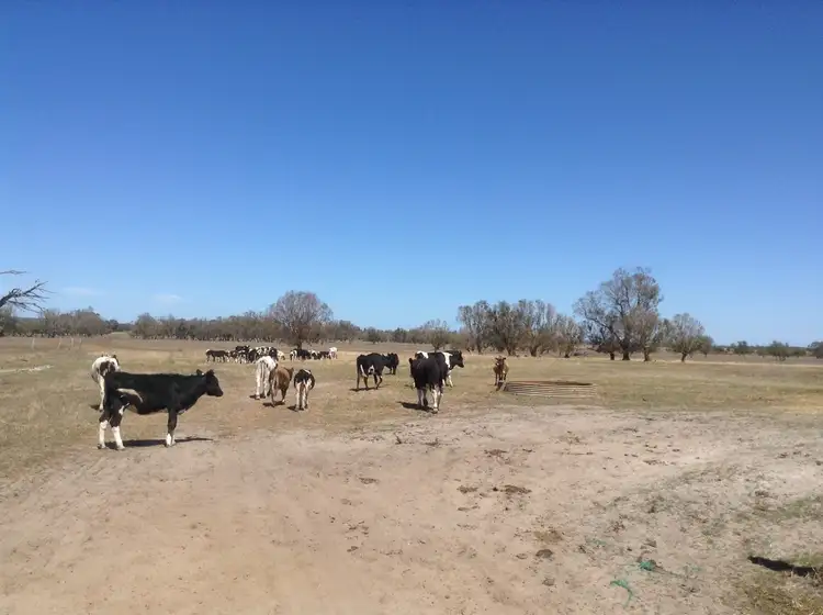 Fourth view of Homely rural property listing, Address available on request