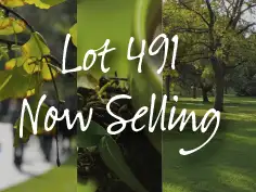 Lot 491 Everest Way, Baldivis WA 6171