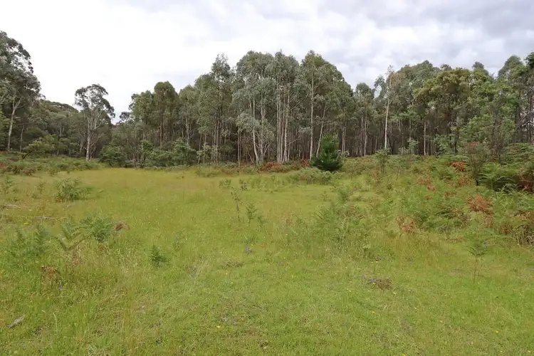 Fourth view of Homely land listing, 537 Broadleaf Park Road, Rosewood NSW 2652