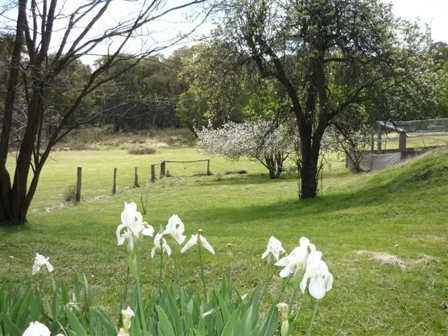 Second view of Homely rural property listing, 3864 Hill End Road, Hill End NSW 2850