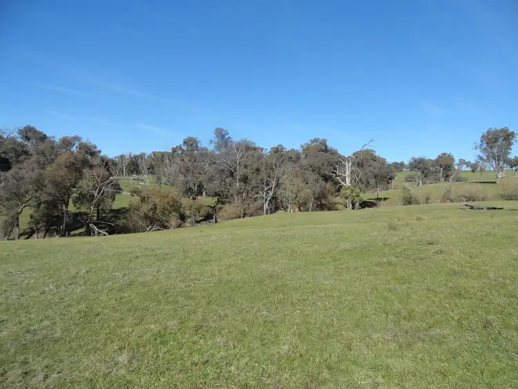 Fourth view of Homely rural property listing, Lots 1&2 Blacks Flat Road, Mudgegonga VIC 3737