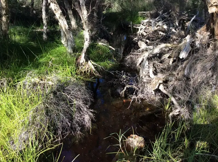 Seventh view of Homely rural property listing, Address available on request