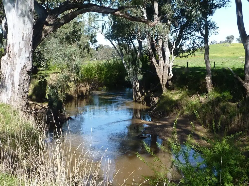 Main view of Homely rural property listing, 589 Humula Road VIia Tarcutta, Wagga Wagga NSW 2650