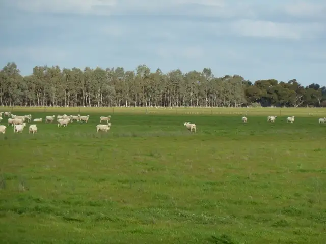 Main view of Homely rural property listing, . Gunbower/Pyramid Hill Road, Gunbower VIC 3566