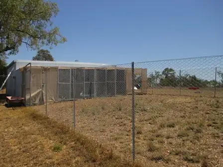 Seventh view of Homely rural property listing, 765 Six Mile Road, Roma QLD 4455