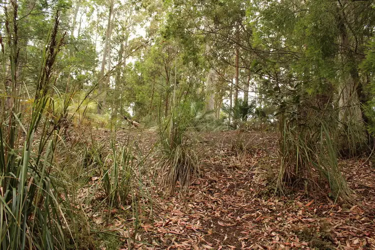 Seventh view of Homely land listing, 52 Litchfield Crescent, Long Beach NSW 2536