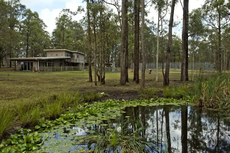Main view of Homely rural property listing, 383 BUTTERWICK RD, Woodville NSW 2321