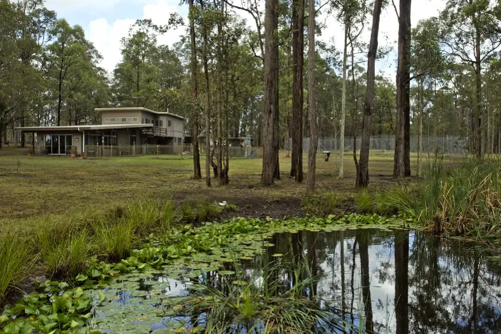 Main view of Homely rural property listing, 383 BUTTERWICK RD, Woodville NSW 2321