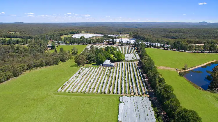 Seventh view of Homely rural property listing, Address available on request