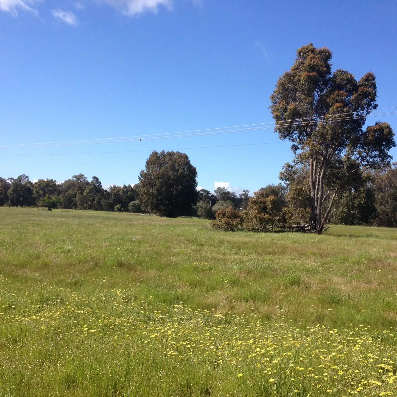 Main view of Homely land listing, 6 Weld Road, Capel WA 6271
