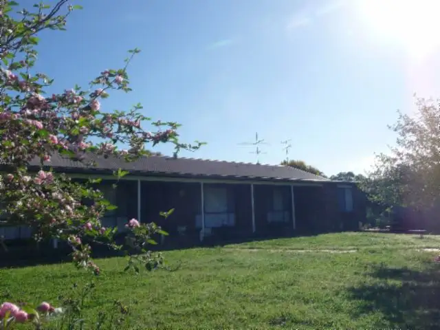 Main view of Homely rural property listing, PALJAC CULCAIRN ROAD, Holbrook NSW 2644