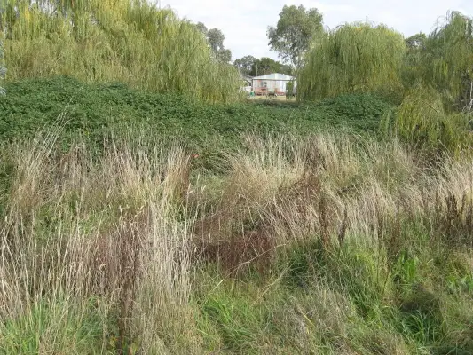 Second view of Homely land listing, 7 Lachlan Close, Young NSW 2594