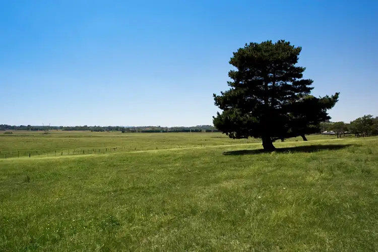 Second view of Homely rural property listing, Majellan Park 315 Yarrawa Rd, Moss Vale NSW 2577