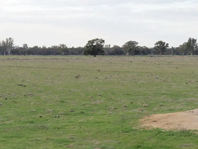 Sixth view of Homely rural property listing, LOT 36 Dahwilly Road, Deniliquin NSW 2710