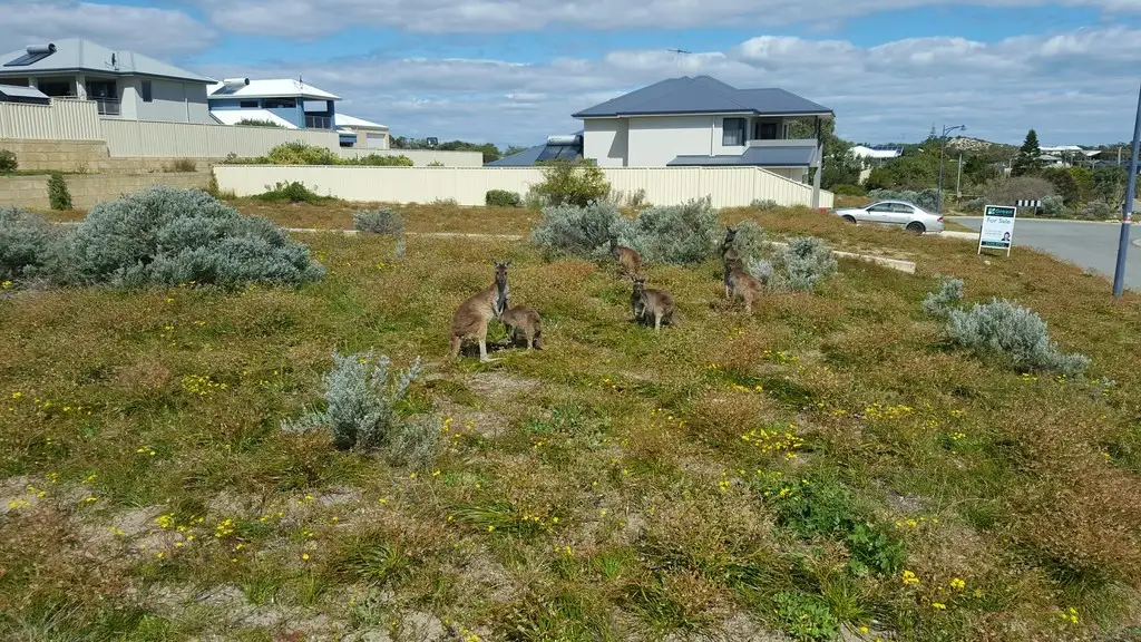 Main view of Homely land listing, 8 Boddington Court, Dawesville WA 6211