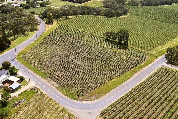 Third view of Homely land listing, A130 Langhorne Creek Road, Langhorne Creek SA 5255