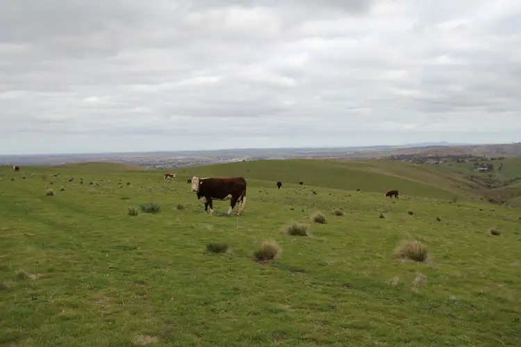 Fifth view of Homely land listing, Lot 1 Long Point Road, Pentland Hills VIC 3341