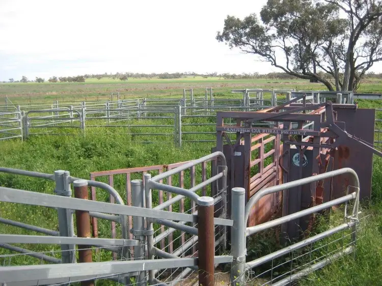 Fourth view of Homely rural property listing, Farms 86F, 86G, 86H & 86I Hulong Road, Whitton NSW 2705