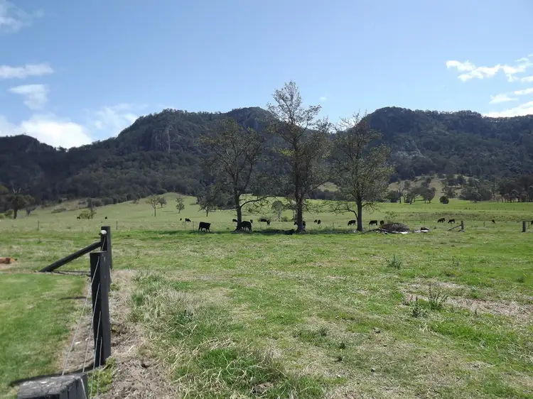 Third view of Homely rural property listing, 252 Bucketts Road, Gloucester NSW 2422