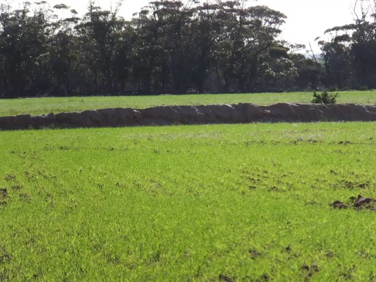 Fourth view of Homely rural property listing, Lot 1 Pollard, Wongan Hills WA 6603
