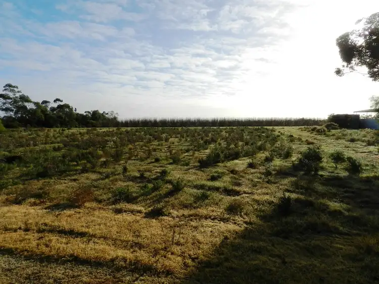 Fifth view of Homely land listing, 1372 Rumball Road, Winkie SA 5343