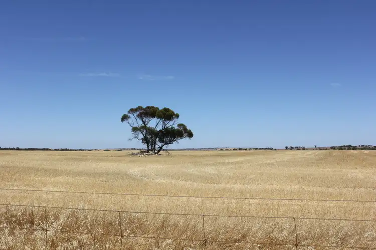 Sixth view of Homely rural property listing, Lot 20871 Berring Road, Goomalling WA 6460