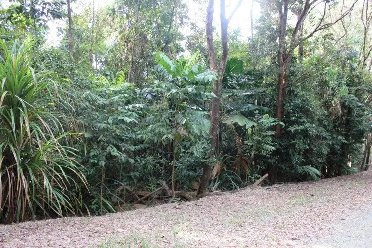 Fifth view of Homely land listing, 22 Forest Close, Daintree QLD 4873