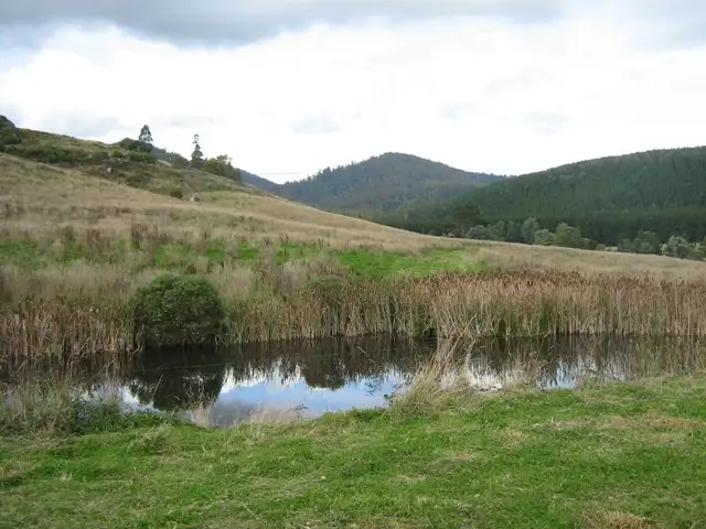 Second view of Homely rural property listing, - Paradise Road, Sheffield TAS 7306