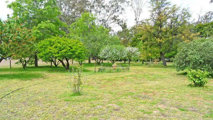 Seventh view of Homely house listing, 470 Roses Gap Road, Dadswells Bridge VIC 3385