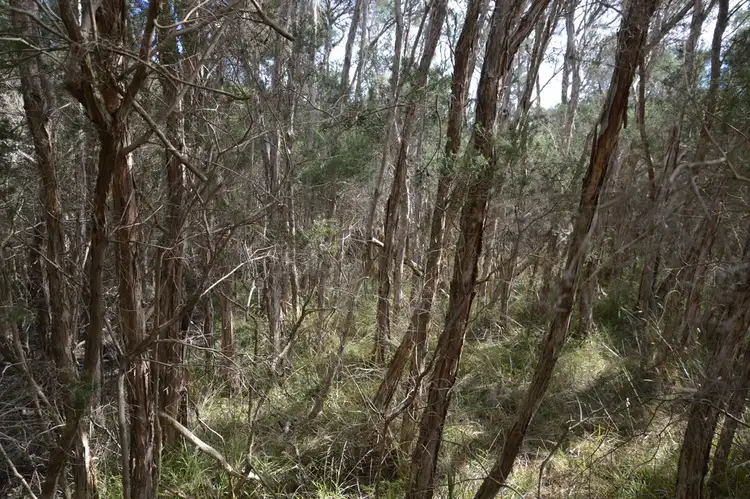 Seventh view of Homely rural property listing, 00 McGrath Road, Woolamai VIC 3995