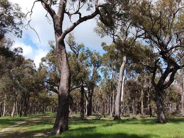 Seventh view of Homely rural property listing, 458 Six Mile Road, Boyup Brook WA 6244