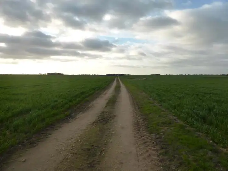 Fourth view of Homely rural property listing, 571 Kangaroo Road, Langhorne Creek SA 5255