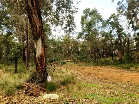 Seventh view of Homely land listing, 14 (Lot 59) Timber Court, Cowaramup WA 6284