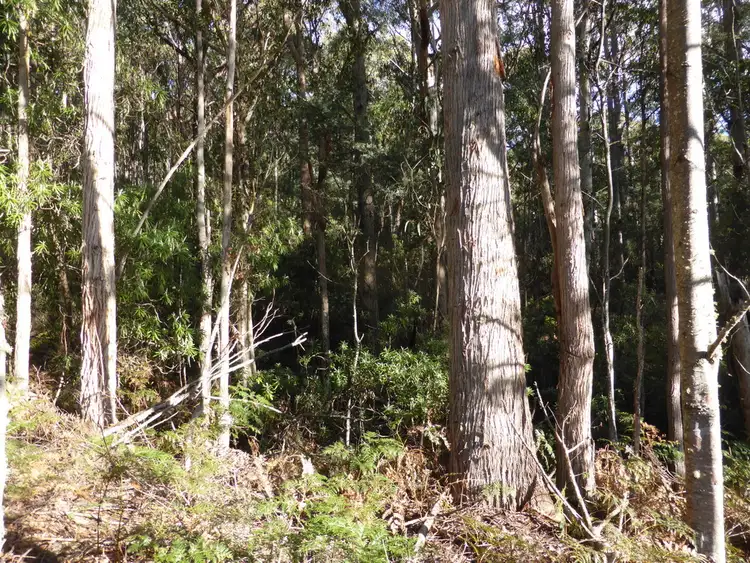 Fourth view of Homely land listing, Lot 1 Hanlons Road, Ellendale TAS 7140