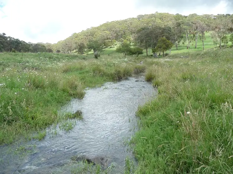 Third view of Homely rural property listing, 2196 Maybole Road, Glen Innes NSW 2370