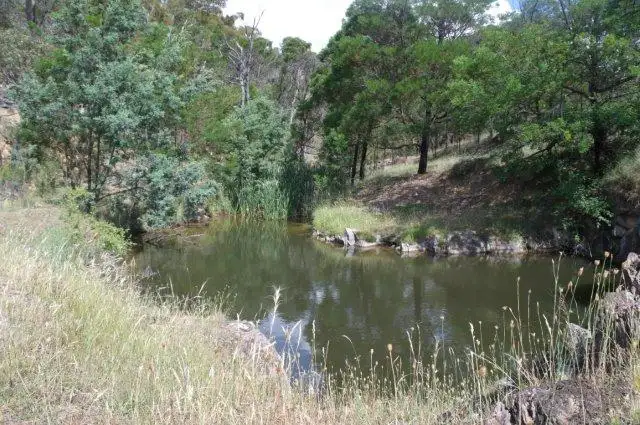 Seventh view of Homely rural property listing, 1496 Middle Arm Road, Goulburn NSW 2580
