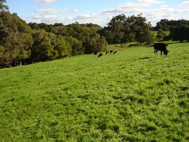 Lot 201 Burnside Road, Margaret River WA 6285