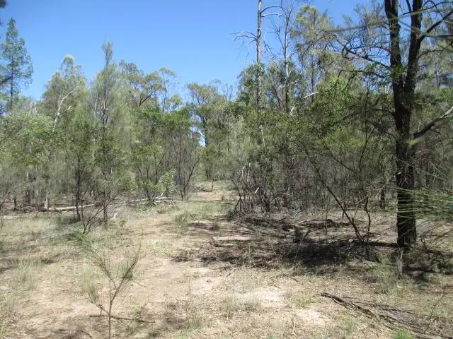 Main view of Homely rural property listing, 294 HAPPINESS, Tara QLD 4421