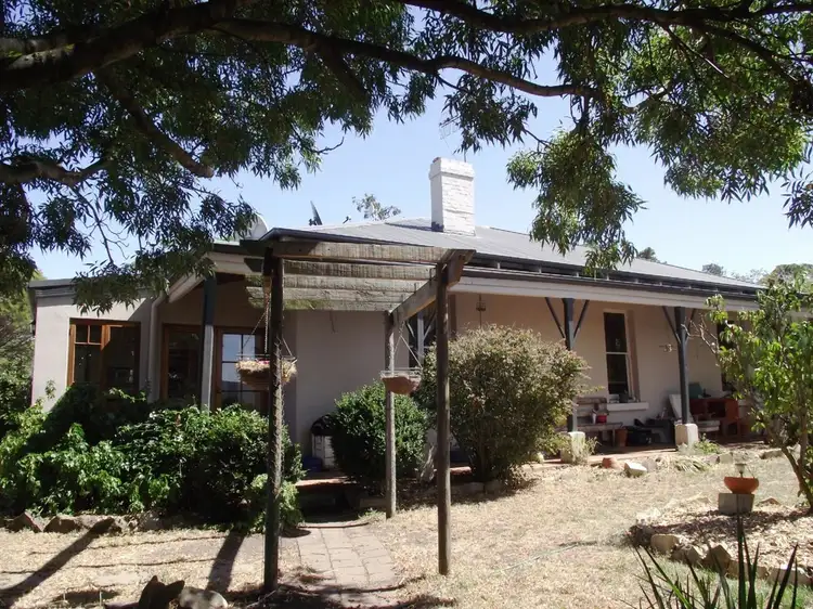 Main view of Homely rural property listing, 5674 Lake Leake Road, Swansea TAS 7190