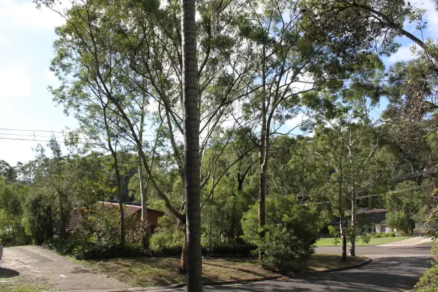 Fourth view of Homely house listing, 3 Beasley Crescent, Rankin Park NSW 2287