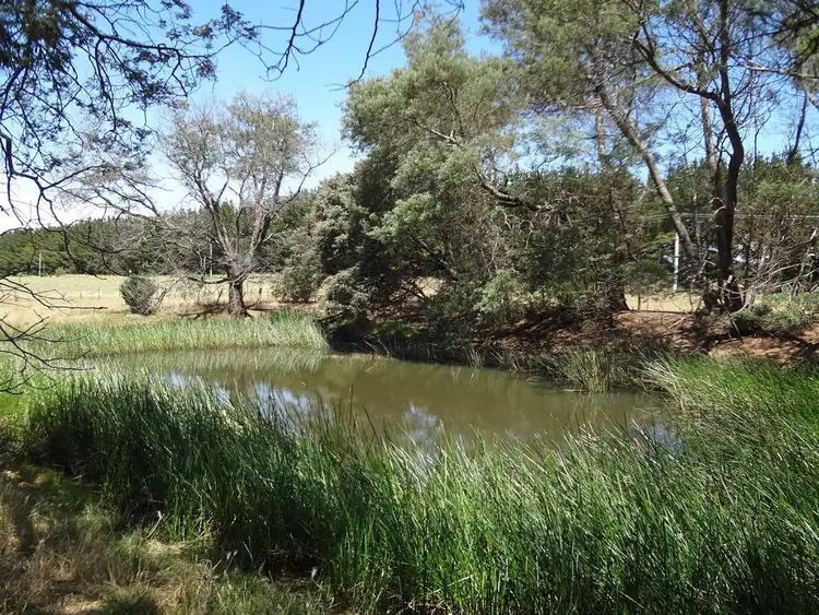 Seventh view of Homely house listing, 1658 Meander Valley Road, Carrick TAS 7291