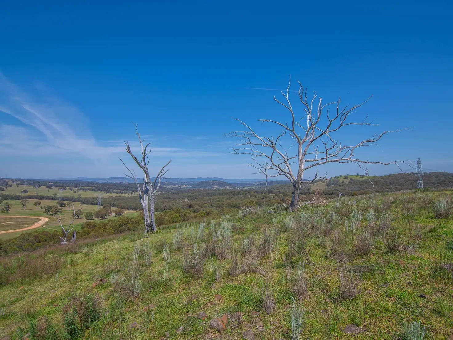 Main view of Homely rural property listing, 239 Upper Botobolar Road, Mudgee NSW 2850