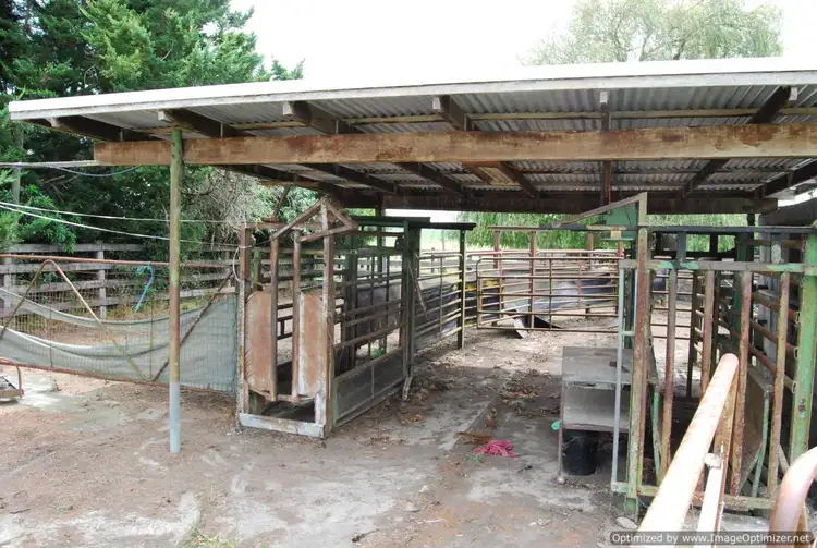 Fourth view of Homely rural property listing, 33 Pardews Lane, Orbost VIC 3888