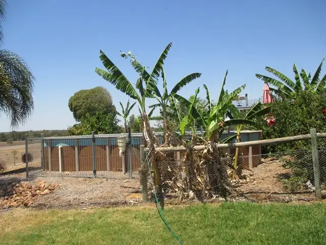 Fourth view of Homely rural property listing, 765 Six Mile Road, Roma QLD 4455