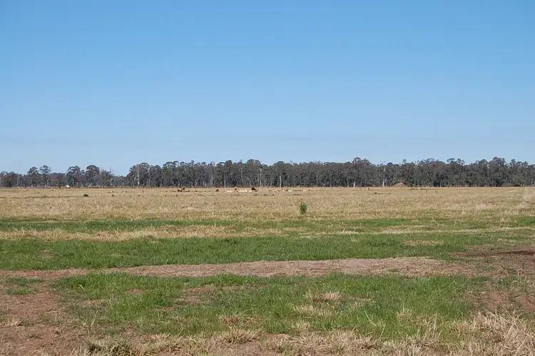 Third view of Homely rural property listing, Perkins Bridge ,Perkins Bridge Road, TATHAM via, Casino NSW 2470